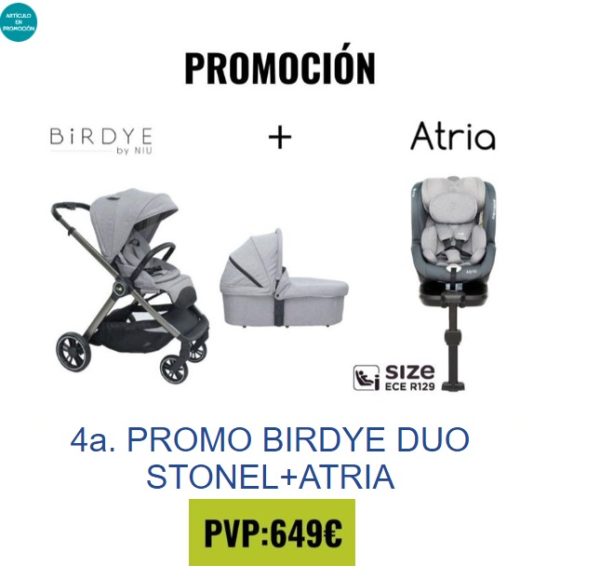 CARRO BIRDYE DUO STONEL + SILLA AUTO ATRIA