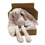 Canastilla Peluche y Zapatillas